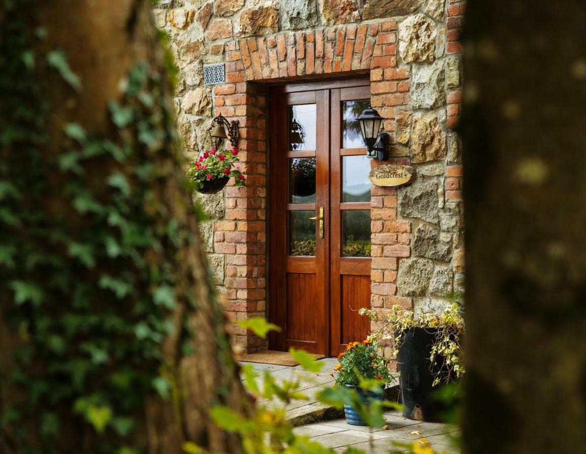 Вилла Croneybyrne Courtyard Clara Экстерьер фото